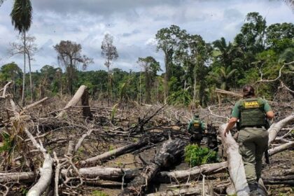 Pesquisador aplica spray de nanopartículas de resina de jucá em pé diabético no Amapá