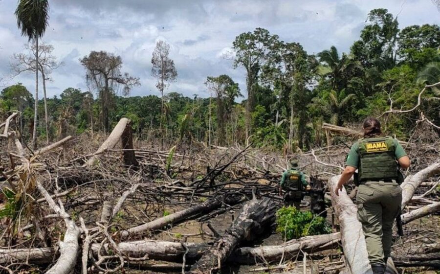 Pesquisador aplica spray de nanopartículas de resina de jucá em pé diabético no Amapá