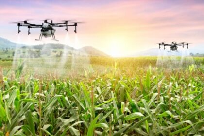 Suzana Muterle Viccini em sua fazenda no Oeste da Bahia com drones de agricultura de precisão