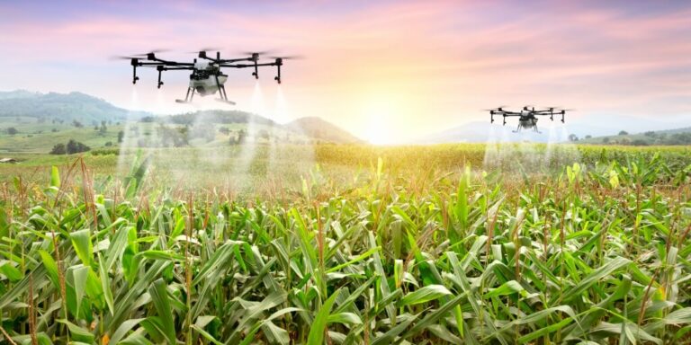Suzana Muterle Viccini em sua fazenda no Oeste da Bahia com drones de agricultura de precisão