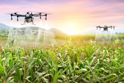 Suzana Muterle Viccini em fazenda no Oeste da Bahia com drones e tecnologia de agricultura de precisão