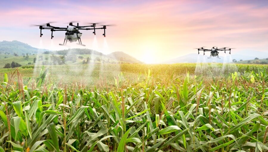 Suzana Muterle Viccini em fazenda no Oeste da Bahia com drones e tecnologia de agricultura de precisão
