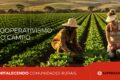 Agricultor Mauro Erdmann em horta orgânica na cooperativa Cresol Verê Paraná