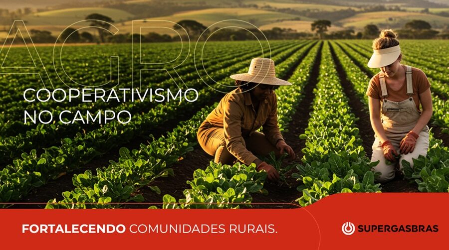 Agricultor Mauro Erdmann em horta orgânica na cooperativa Cresol Verê Paraná