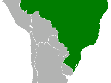 Gado bovino e bubalino no Brasil com símbolos de exportação para Bangladesh e Colômbia