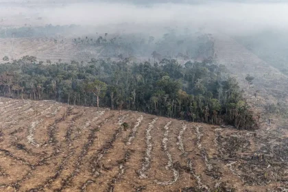 Satélite mostra Amazônia preservada com dados de queda recorde no desmatamento 2023-2026