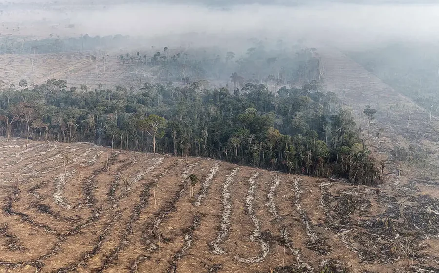 Satélite mostra Amazônia preservada com dados de queda recorde no desmatamento 2023-2026