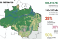 Mapa da Amazônia com 232 políticas de bioeconomia destacadas na plataforma Radar Bioecon