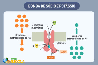 Comparação de potes de requeijão com tabelas nutricionais destacando diferenças de sódio