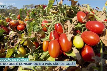 Tomates vermelhos em caixa de feira com etiqueta de preço alta, representando inflação de 38% no IPCA