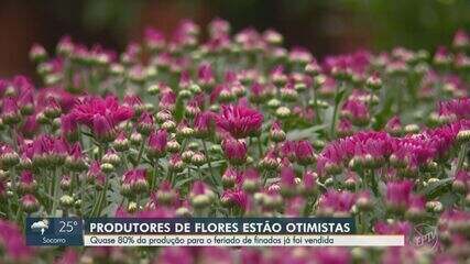 Arranjo de crisântemos coloridos em floricultura para Dia de Finados 2026