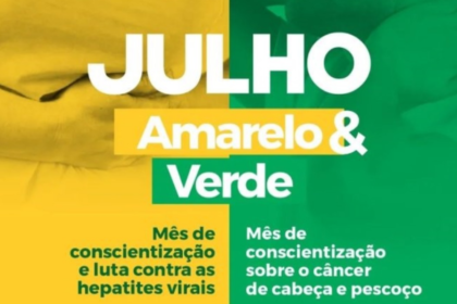 Gráfico mostra 87,3% de notícias de saúde virais falsas em estudo de 9 anos da Agência Lupa