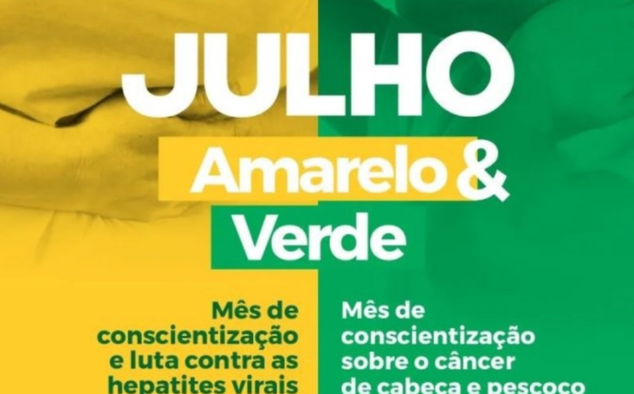 Gráfico mostra 87,3% de notícias de saúde virais falsas em estudo de 9 anos da Agência Lupa