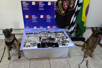 Cães farejadores da polícia localizam celulares roubados em operação em São Paulo usando olfato para detectar componentes eletrônicos