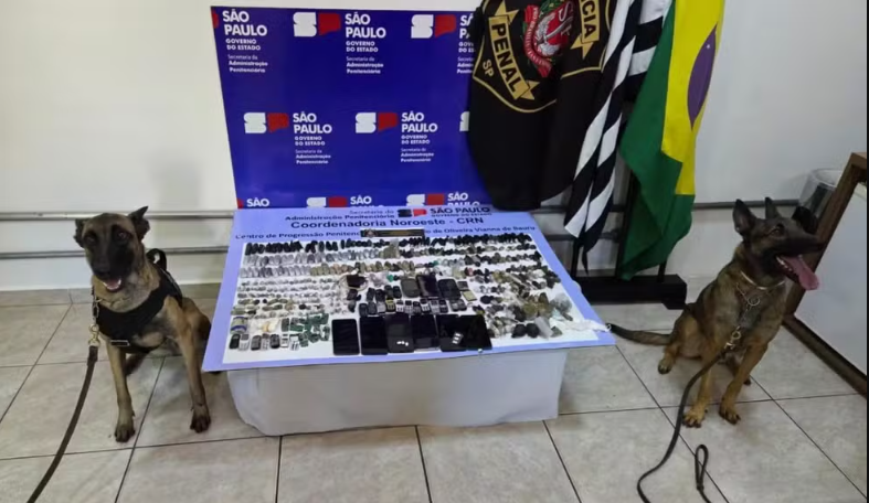 Cães farejadores da polícia localizam celulares roubados em operação em São Paulo usando olfato para detectar componentes eletrônicos