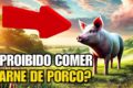Prato de porco cru artesanal servido no restaurante Casa do Porco em São Paulo