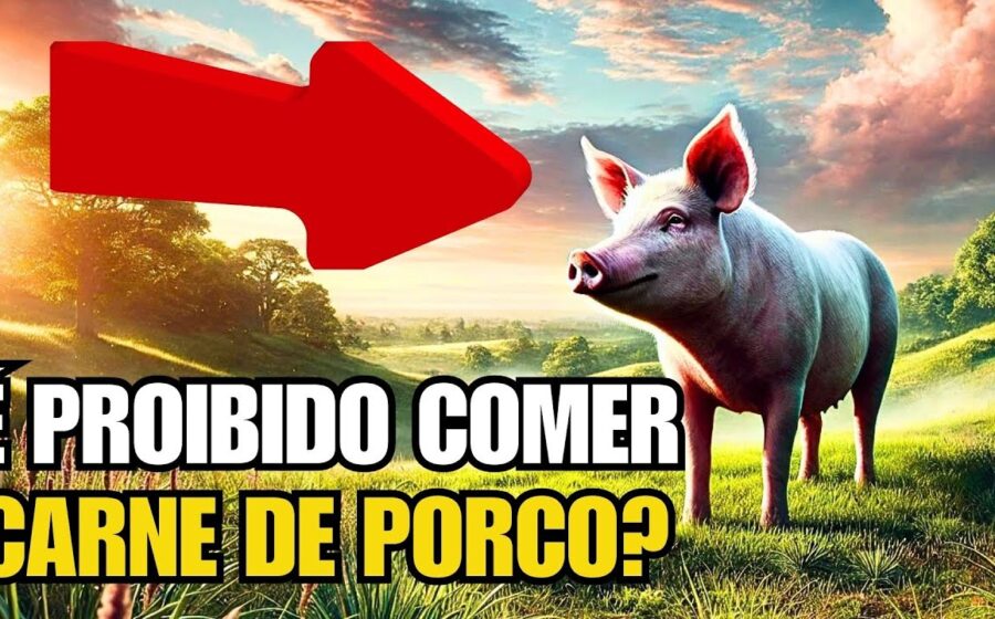 Prato de porco cru artesanal servido no restaurante Casa do Porco em São Paulo