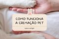 Sala de cremação pet moderna com forno ecológico e painel de rastreabilidade digital