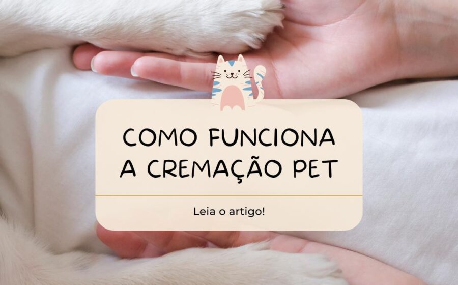 Sala de cremação pet moderna com forno ecológico e painel de rastreabilidade digital