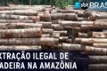 Pesquisador do Inmetro analisa amostra de madeira com espectrômetro portátil para identificação química