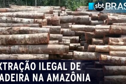 Pesquisador do Inmetro analisa amostra de madeira com espectrômetro portátil para identificação química