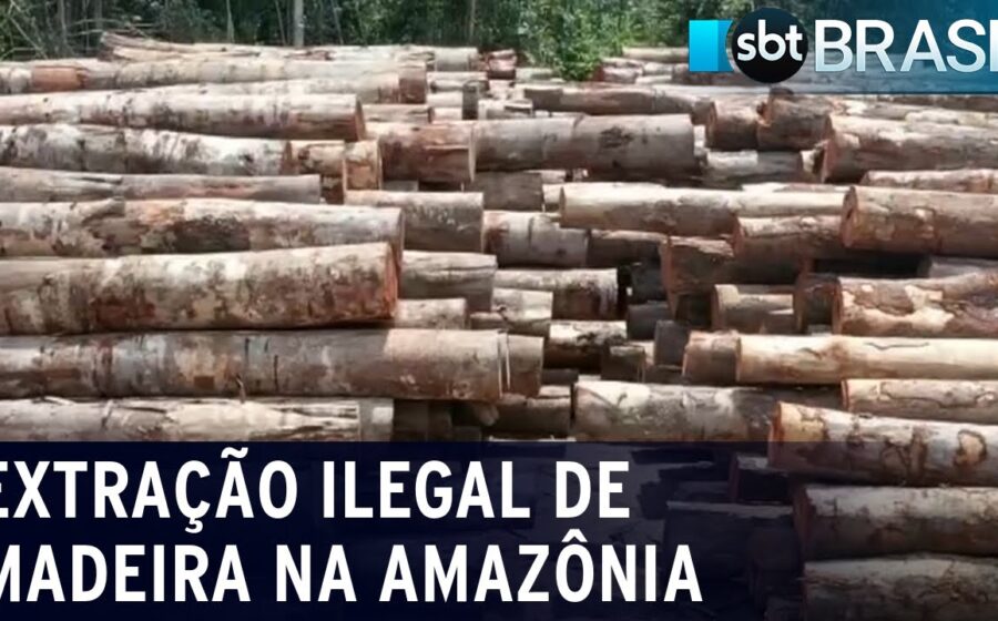 Pesquisador do Inmetro analisa amostra de madeira com espectrômetro portátil para identificação química