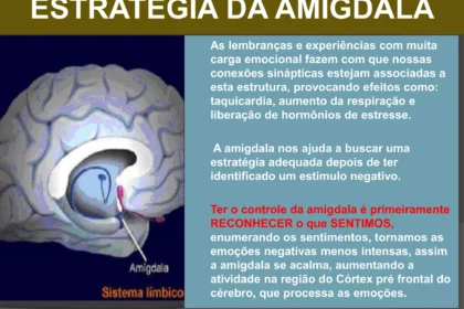 Ilustração do cérebro humano destacando a amígdala em vermelho, com fundo de trânsito caótico e motoristas estressados