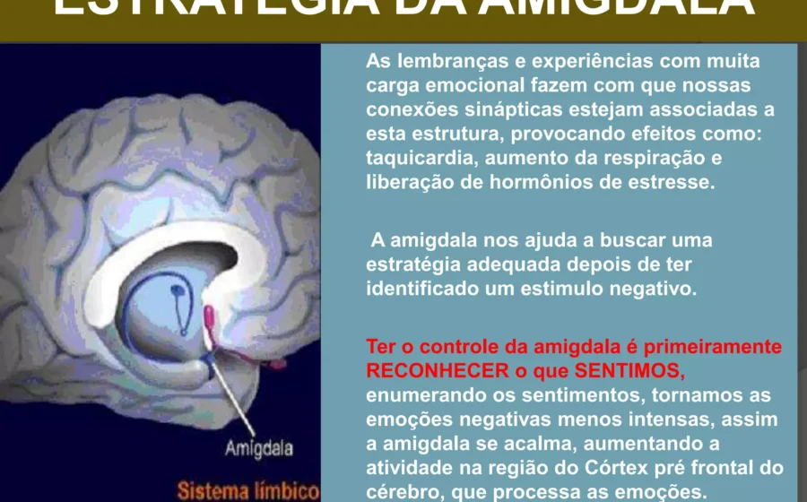 Ilustração do cérebro humano destacando a amígdala em vermelho, com fundo de trânsito caótico e motoristas estressados