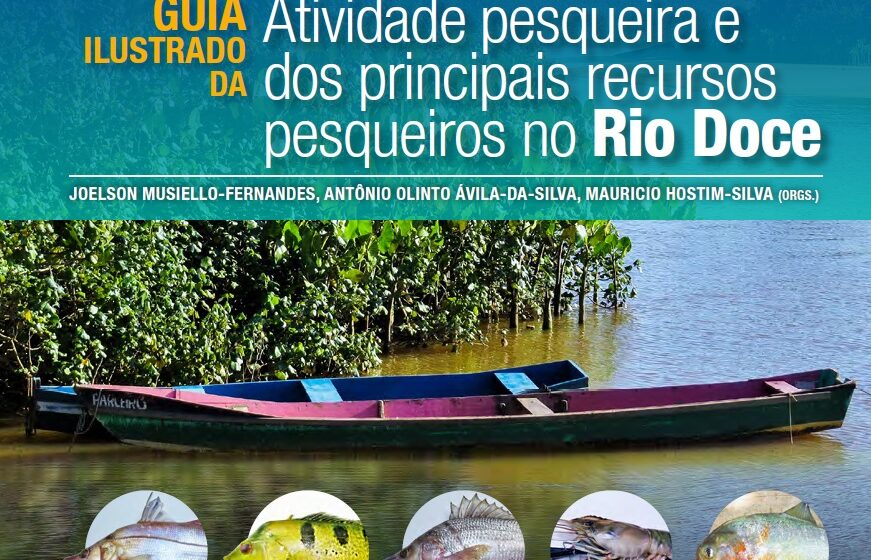 Foz do Rio Doce entre Aracruz e Linhares com barcos de pesca artesanal na água