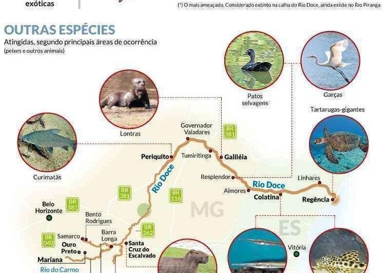 Pescadores artesanais na foz do Rio Doce entre Aracruz e Linhares ES celebram liberação da pesca após 10 anos