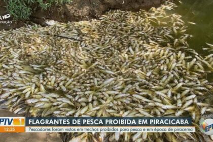 Fiscalização da Piracema 2024 no rio Piracicaba com agentes ambientais e pescadores