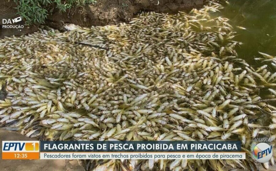 Fiscalização da Piracema 2024 no rio Piracicaba com agentes ambientais e pescadores