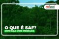 Troféu Prêmio Para Elas 2024 com logos de Bahia, Palmeiras e São Paulo finalistas de melhor departamento futebol feminino