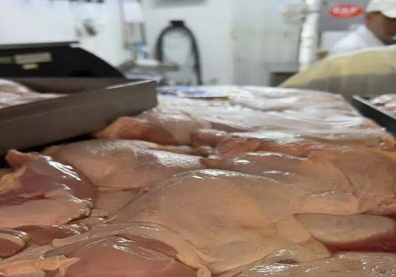 Fiscais do Procon-JP inspecionam gôndolas com cerveja e carne vencidas em supermercado de João Pessoa