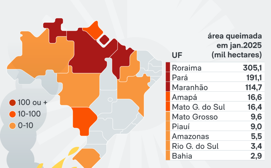 Fumaça densa encobrindo floresta amazônica com focos de incêndio visíveis ao fundo