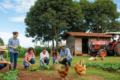 Edital de compra da agricultura familiar IFSertãoPE Petrolina R$ 361 mil merenda escolar