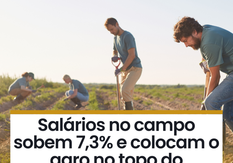 Trabalhadores rurais em lavoura com gráfico salarial do agro: R$ 72 bi e desigualdade de renda