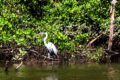 Reserva Marinha Urupirá no Rio: costa preservada com pesca artesanal e turismo sustentável