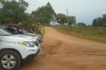 Gado Nelore em pasto com viatura policial ao fundo, representando recuperação de 18 bois furtados a 139 km em Araguacema TO