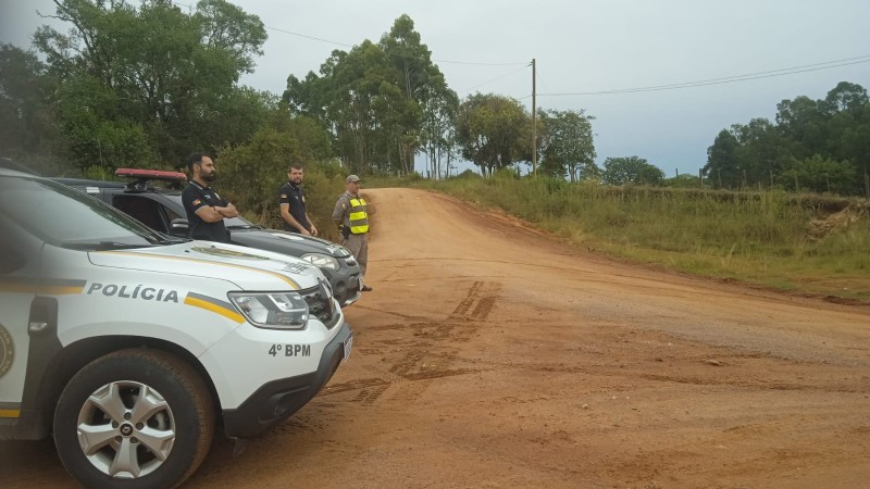 Gado Nelore em pasto com viatura policial ao fundo, representando recuperação de 18 bois furtados a 139 km em Araguacema TO