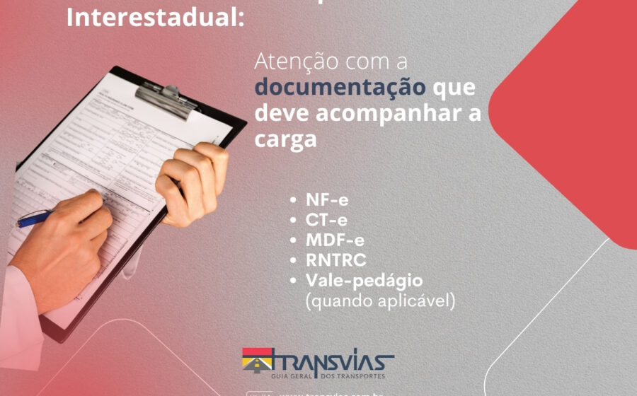 Ministra Cármen Lúcia do STF decide sobre transporte interestadual gratuito nas eleições