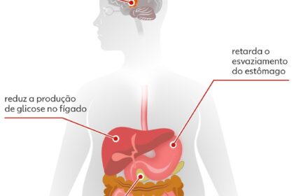 Caneta de semaglutida ao lado de ícones de coração, fígado e rins protegidos