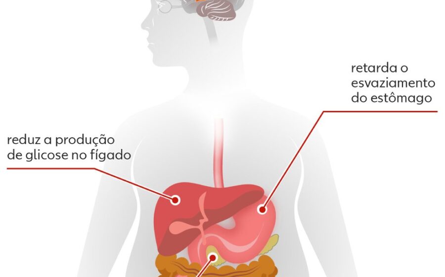 Caneta de semaglutida ao lado de ícones de coração, fígado e rins protegidos