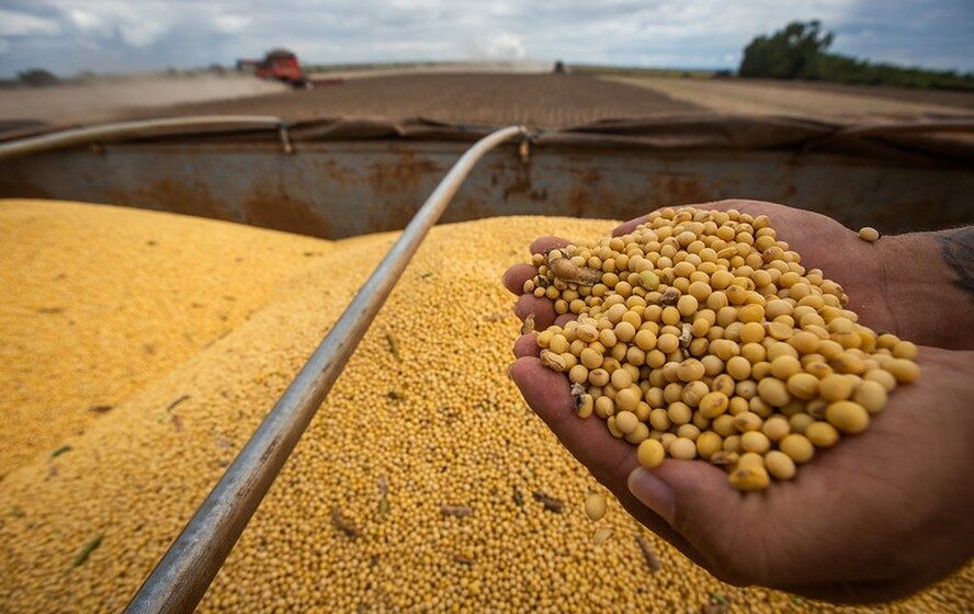 Plantação de soja no Brasil com colheitadeiras, safra recorde de 186 milhões de toneladas projetada pelo USDA