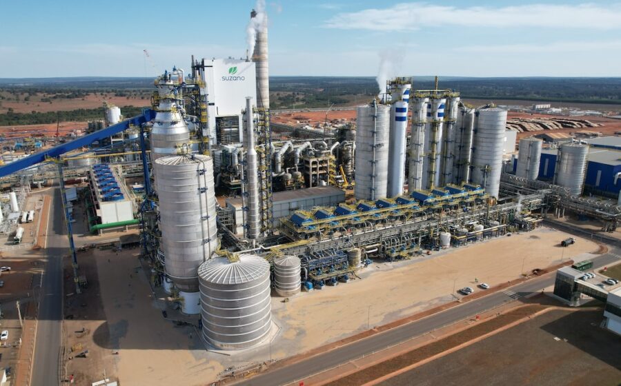 Suzano anuncia aumento de US$ 50 na celulose para Europa e América do Norte em novembro