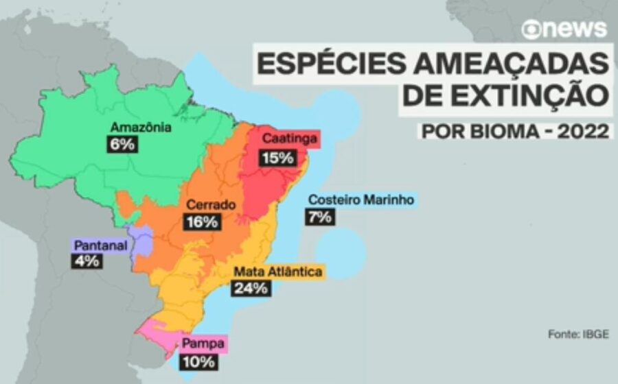 Tambaqui nadando em rio amazônico, espécie classificada como vulnerável mas pesca liberada