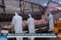 Granja avícola em Santa Catarina com medidas de biossegurança contra doença de Newcastle