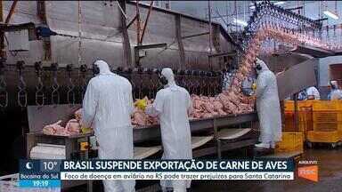 Granja avícola em Santa Catarina com medidas de biossegurança contra doença de Newcastle