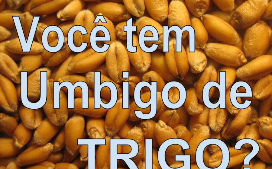 Grãos de trigo dourados em primeiro plano com gráfico de queda de preços ao fundo, simbolizando cotação a US$ 6,10/bushel