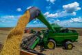 Plantação de soja extensiva com gado bovino ao fundo, representando concentração de 42% do VBP agro